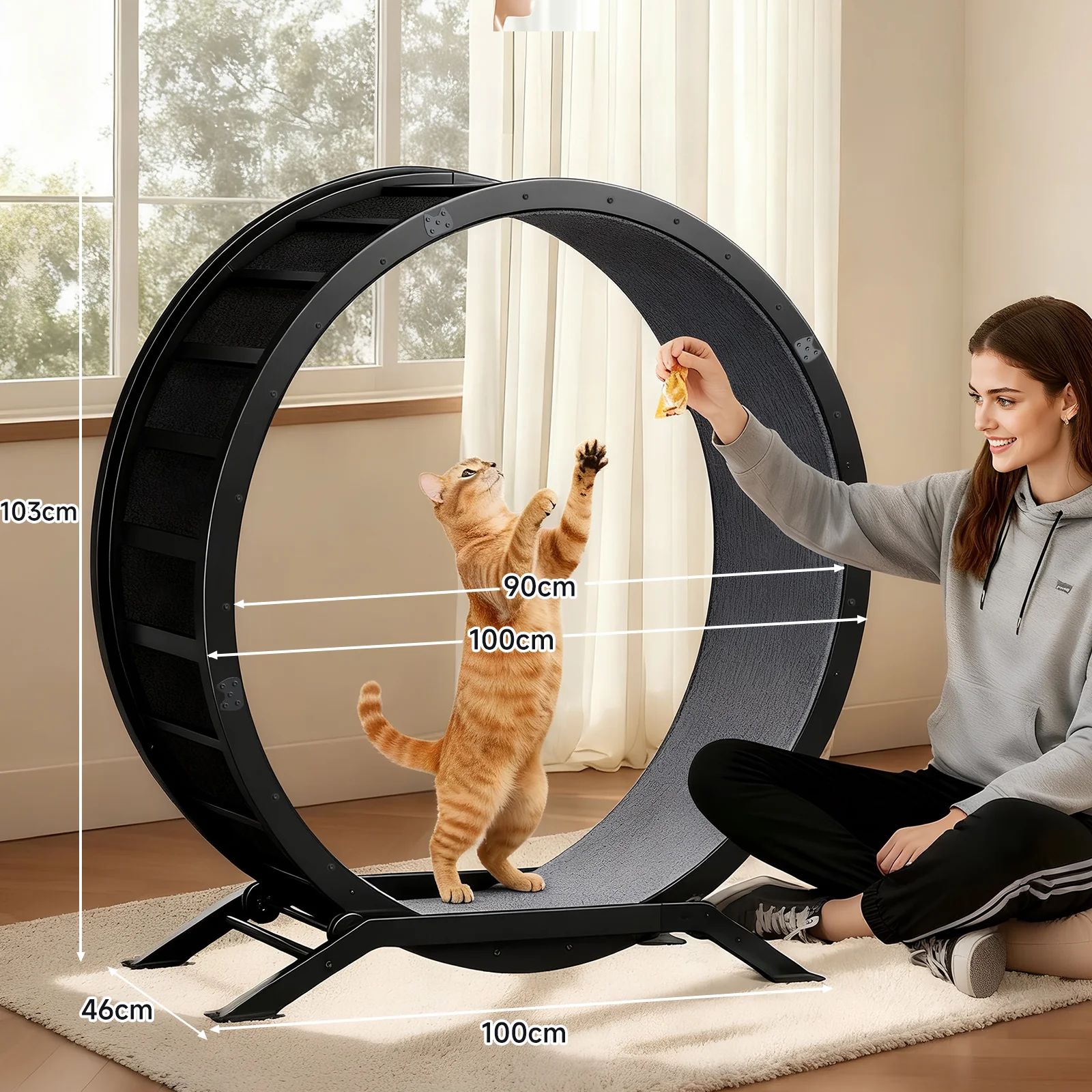 Cat Exercise Wheel CEW01 - Image 13