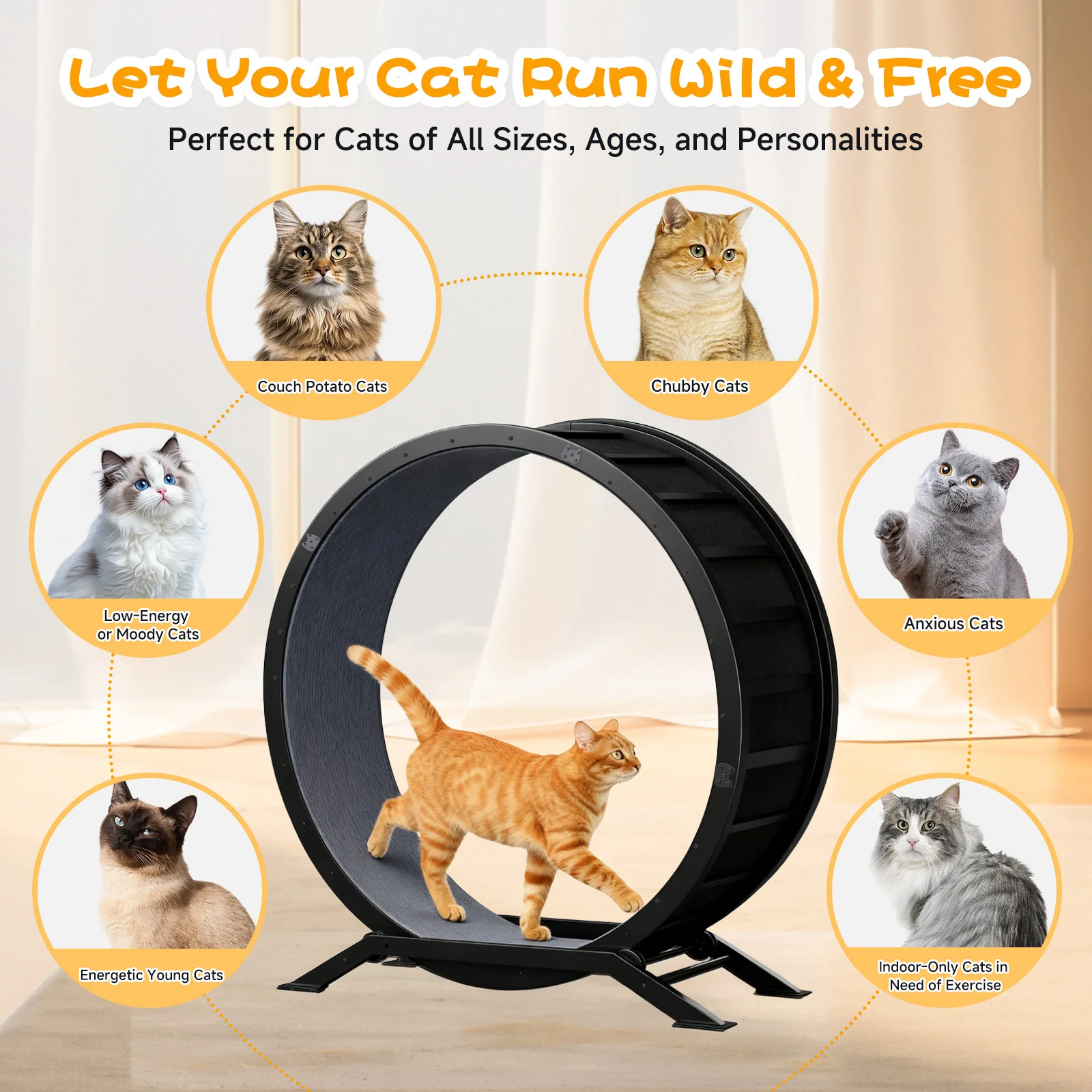 Cat Exercise Wheel CEW01 - Image 14