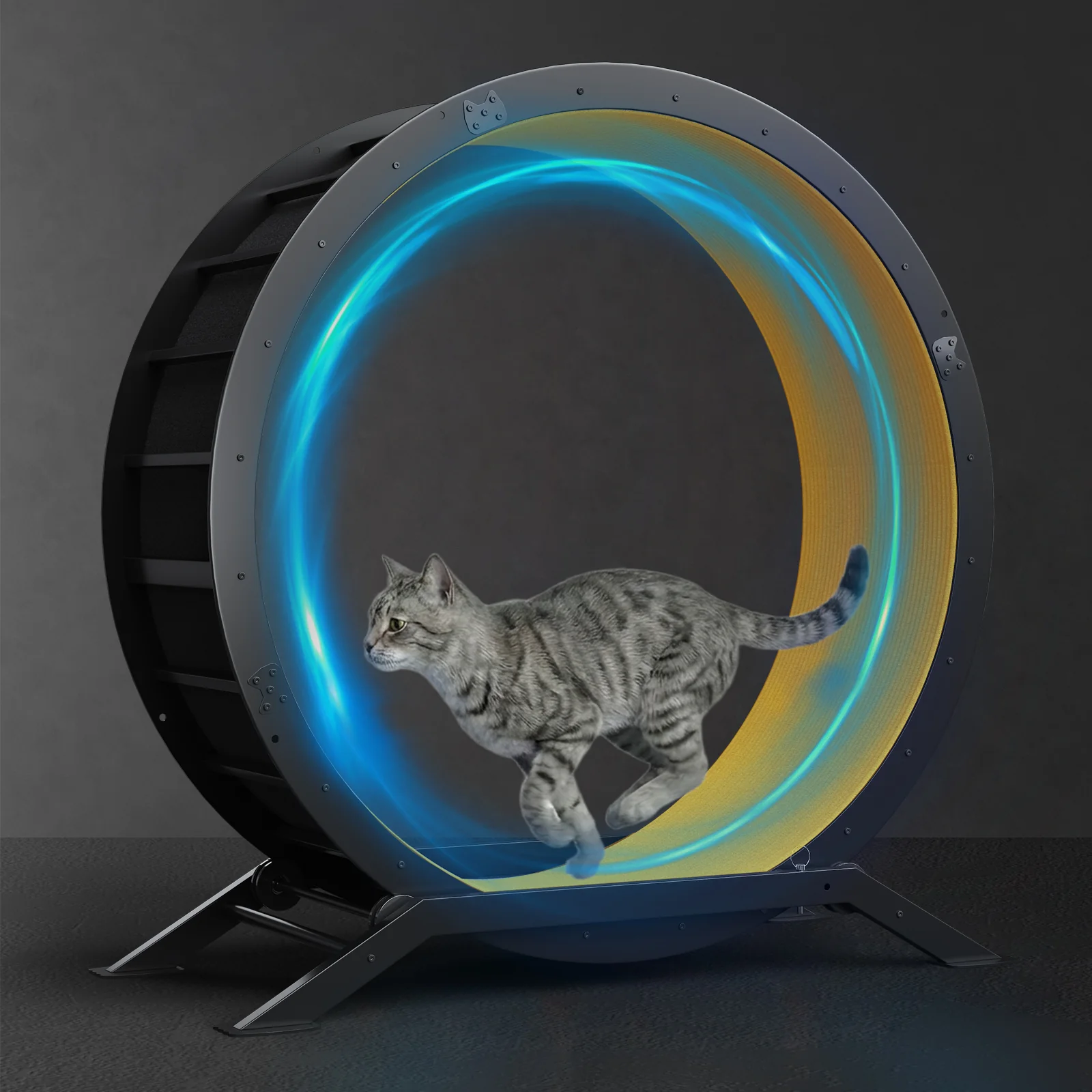 Cat Exercise Wheel CEW01 - Image 20