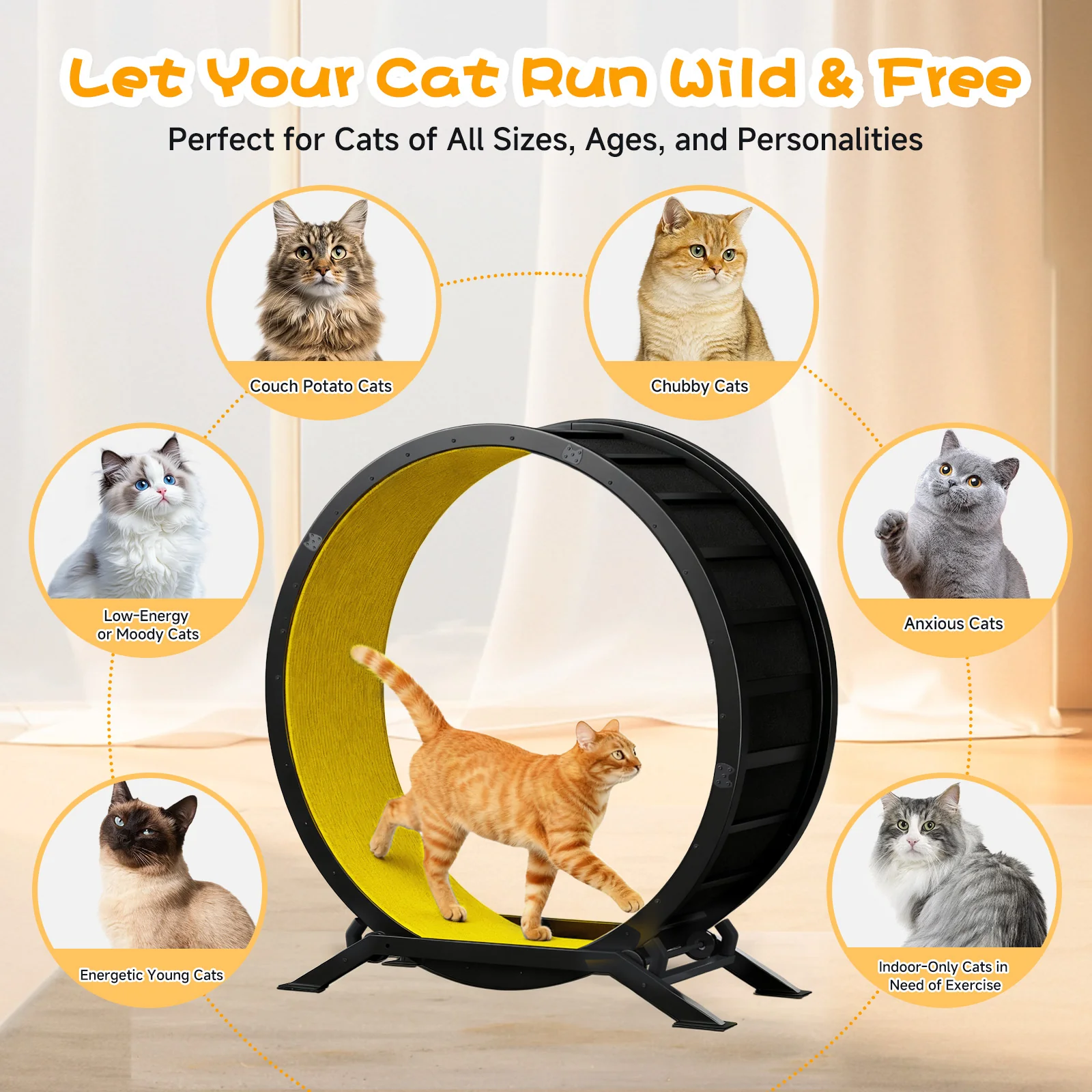 Cat Exercise Wheel CEW01 - Image 23