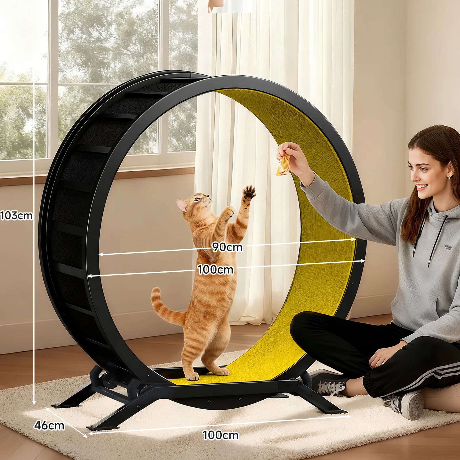 Cat Exercise Wheel CEW01 - Image 33