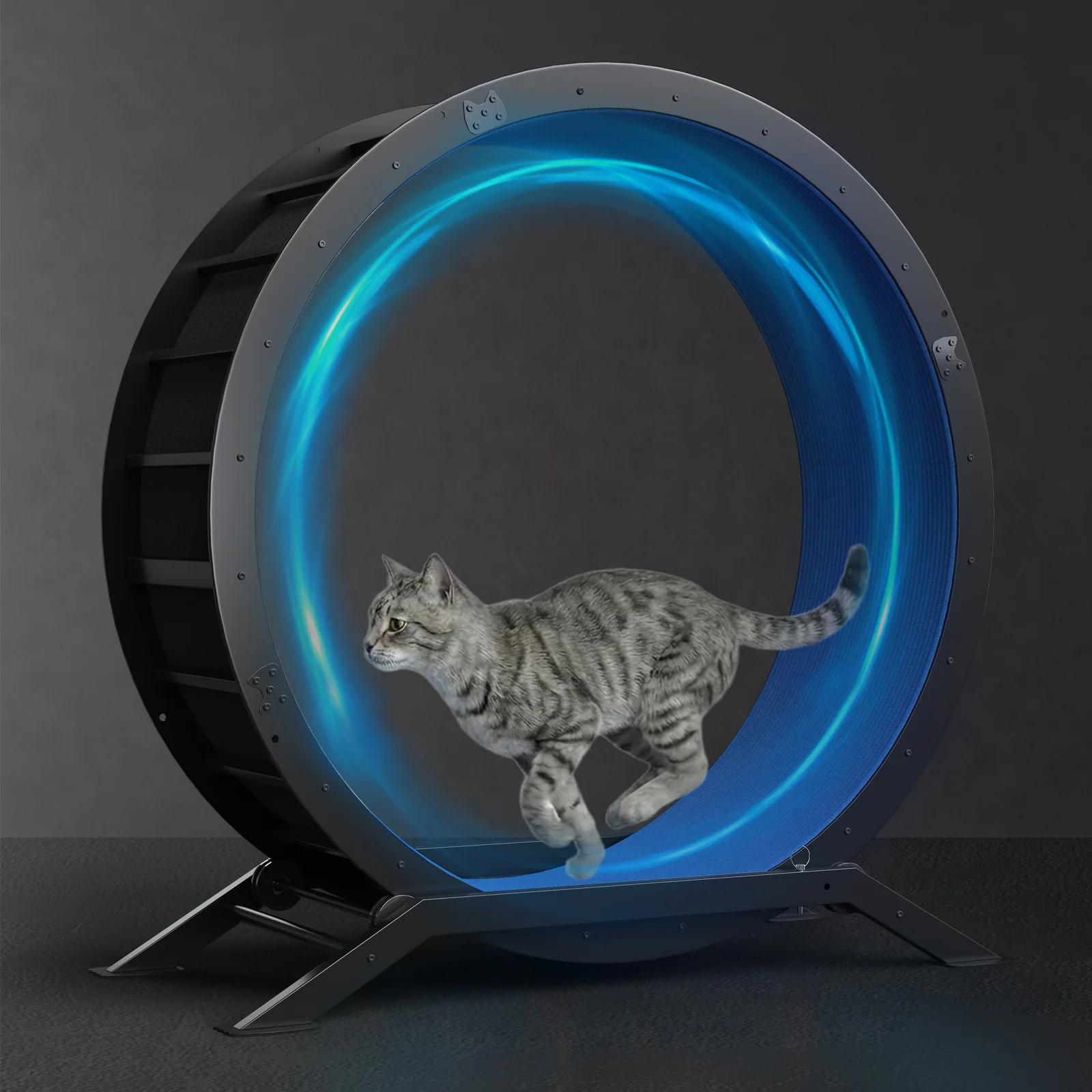 Cat Exercise Wheel CEW01 - Image 37