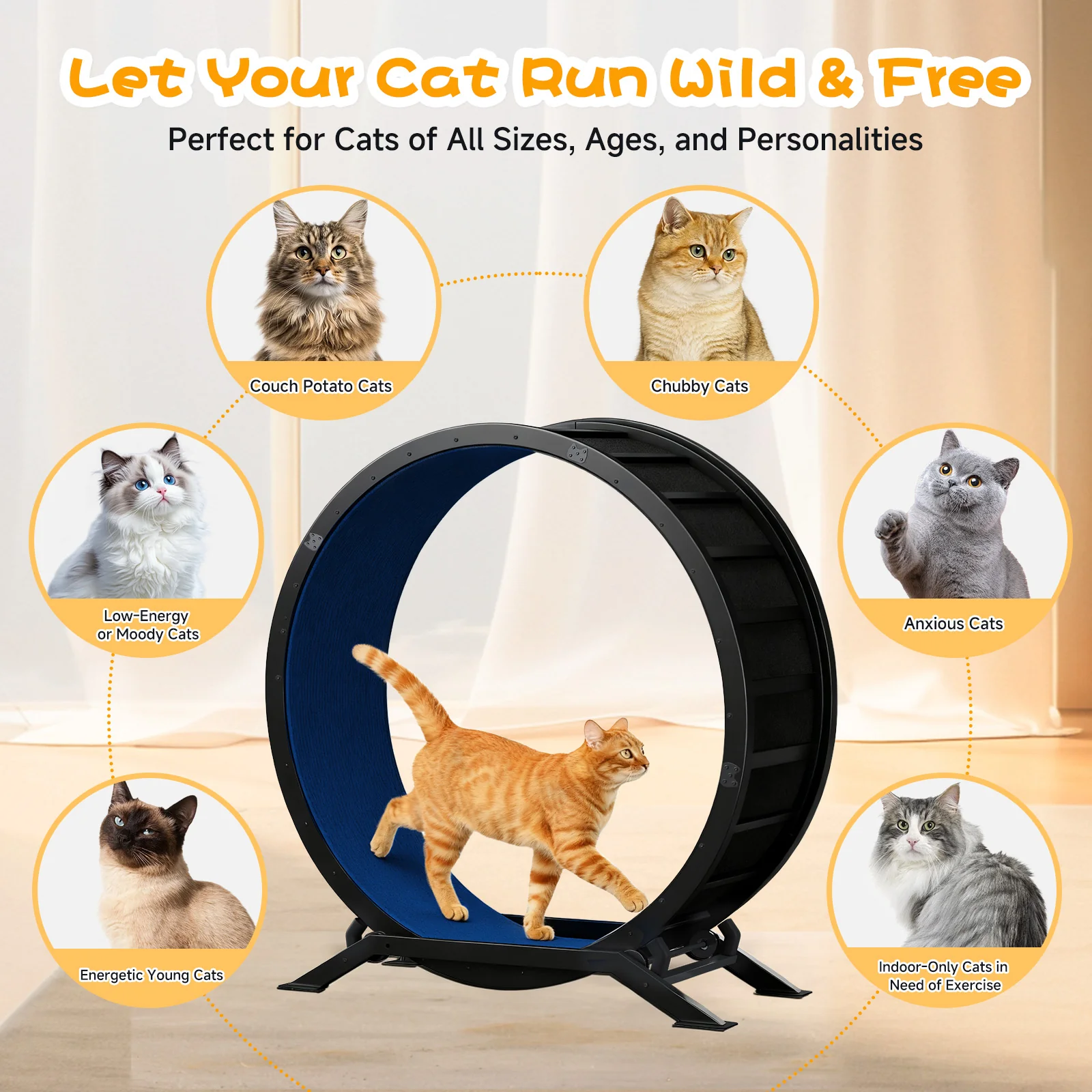 Cat Exercise Wheel CEW01 - Image 38