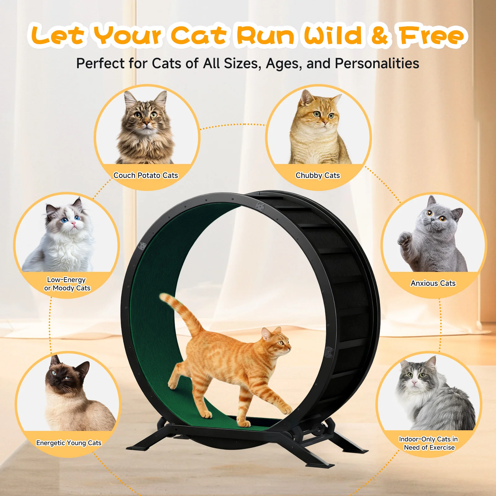 Cat Exercise Wheel CEW01 - Image 53