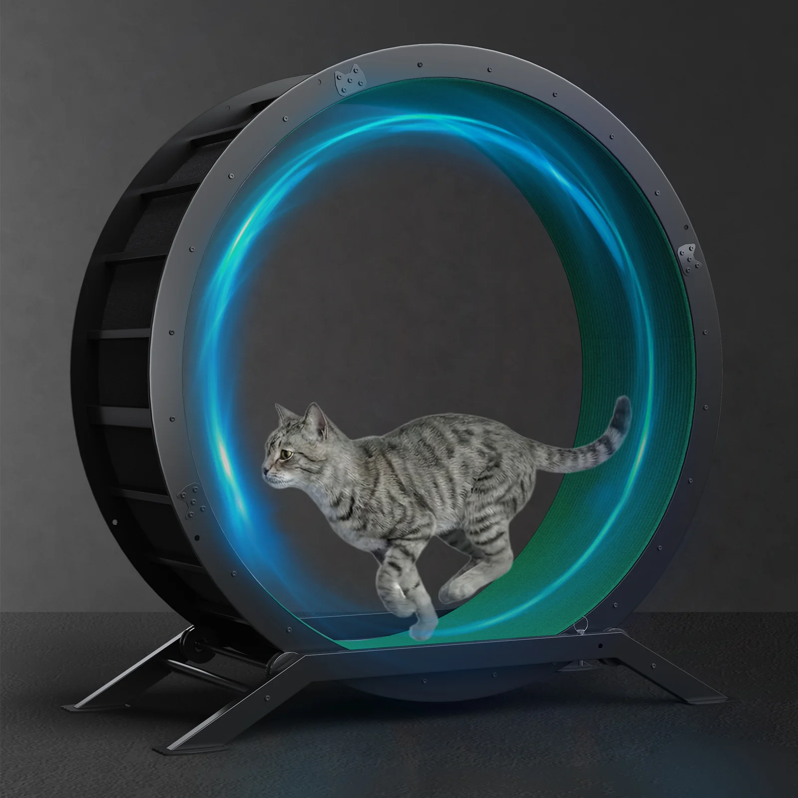Cat Exercise Wheel CEW01 - Image 54