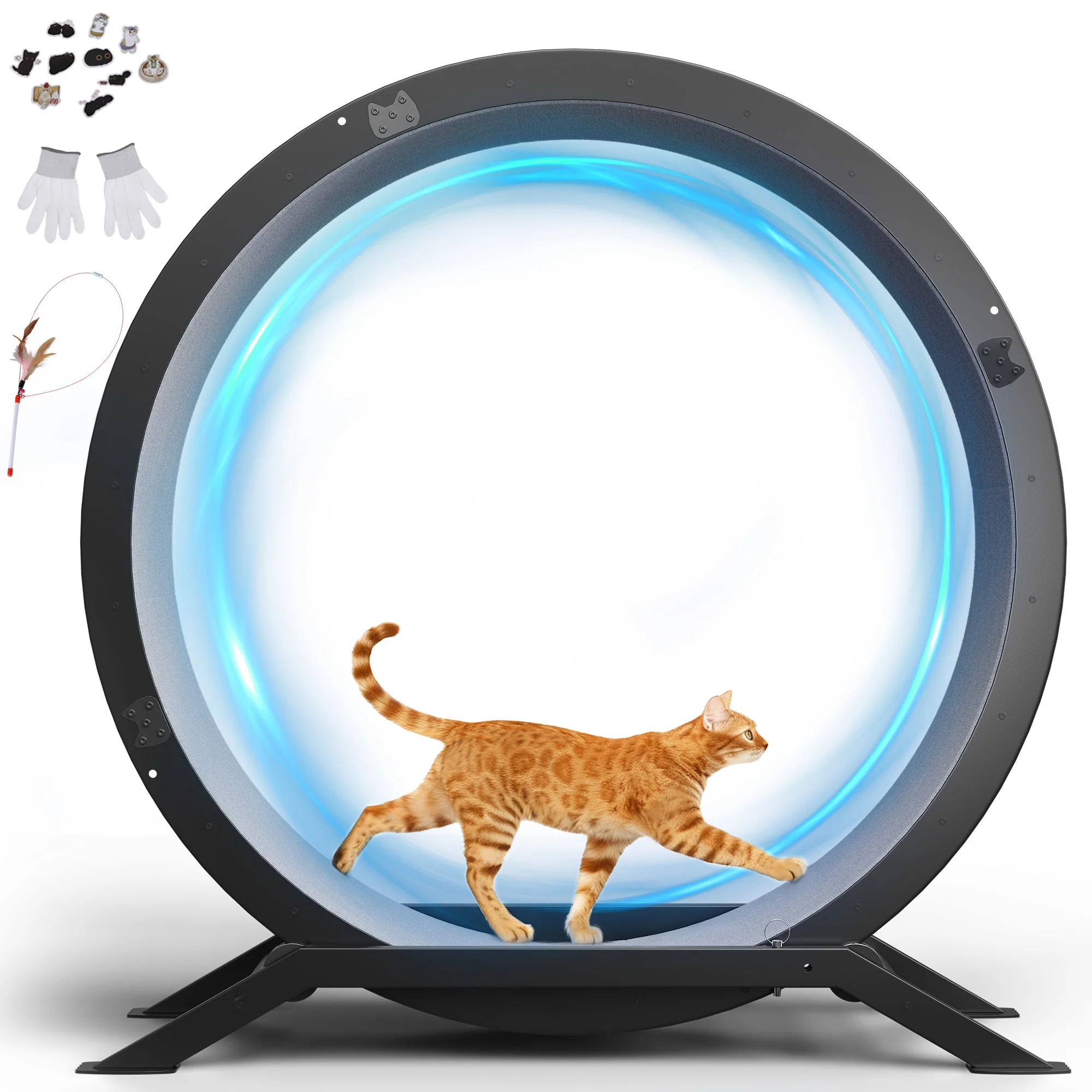 Cat Exercise Wheel CEW01 - Image 6