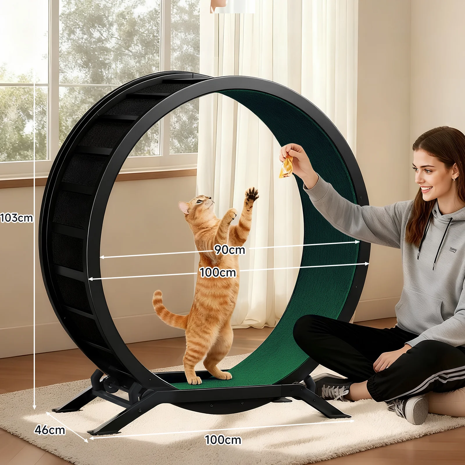 Cat Exercise Wheel CEW01 - Image 60
