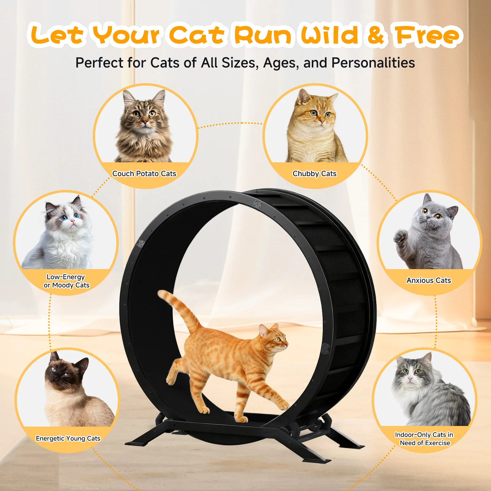 Cat Exercise Wheel CEW01 - Image 71