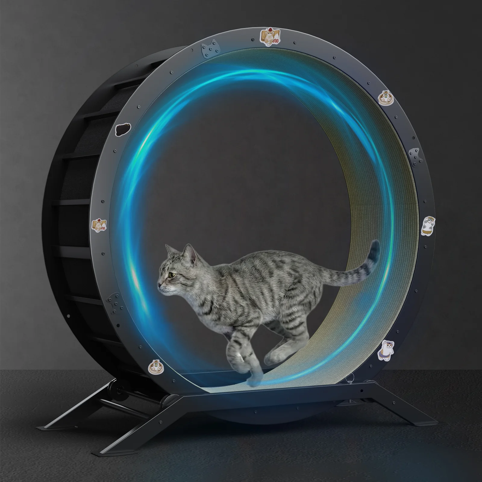 Cat Exercise Wheel CEW01 - Image 72