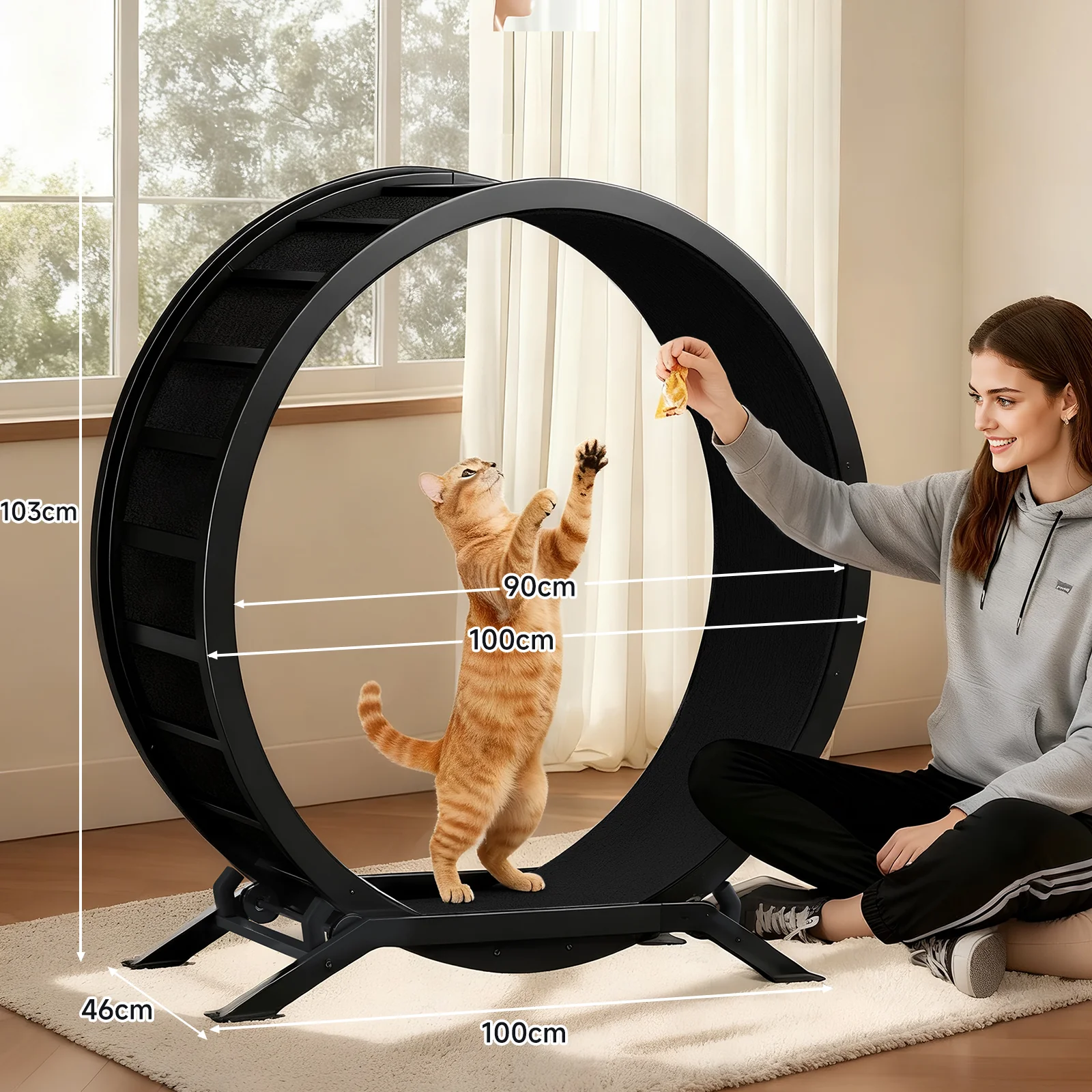 Cat Exercise Wheel CEW01 - Image 80