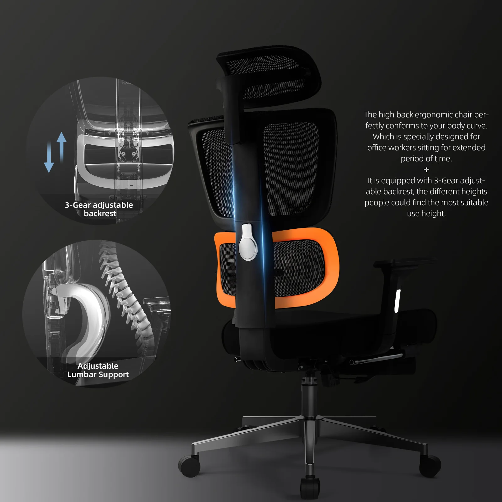Ergonomic Series Ergo12 - Image 7