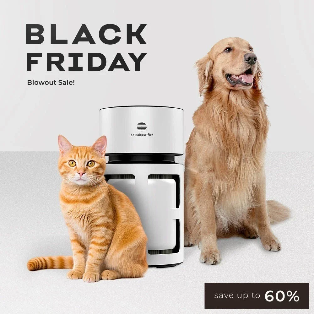 Pet HEPA Air Purifier DX-QC-APUR - Image 3